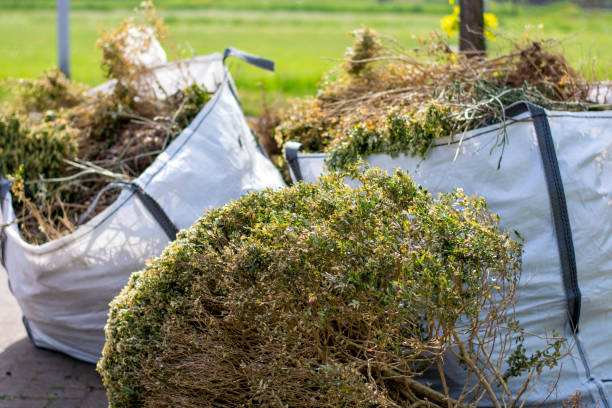 Best Moving and Downsizing Cleanouts  in Meadowlakes, TX